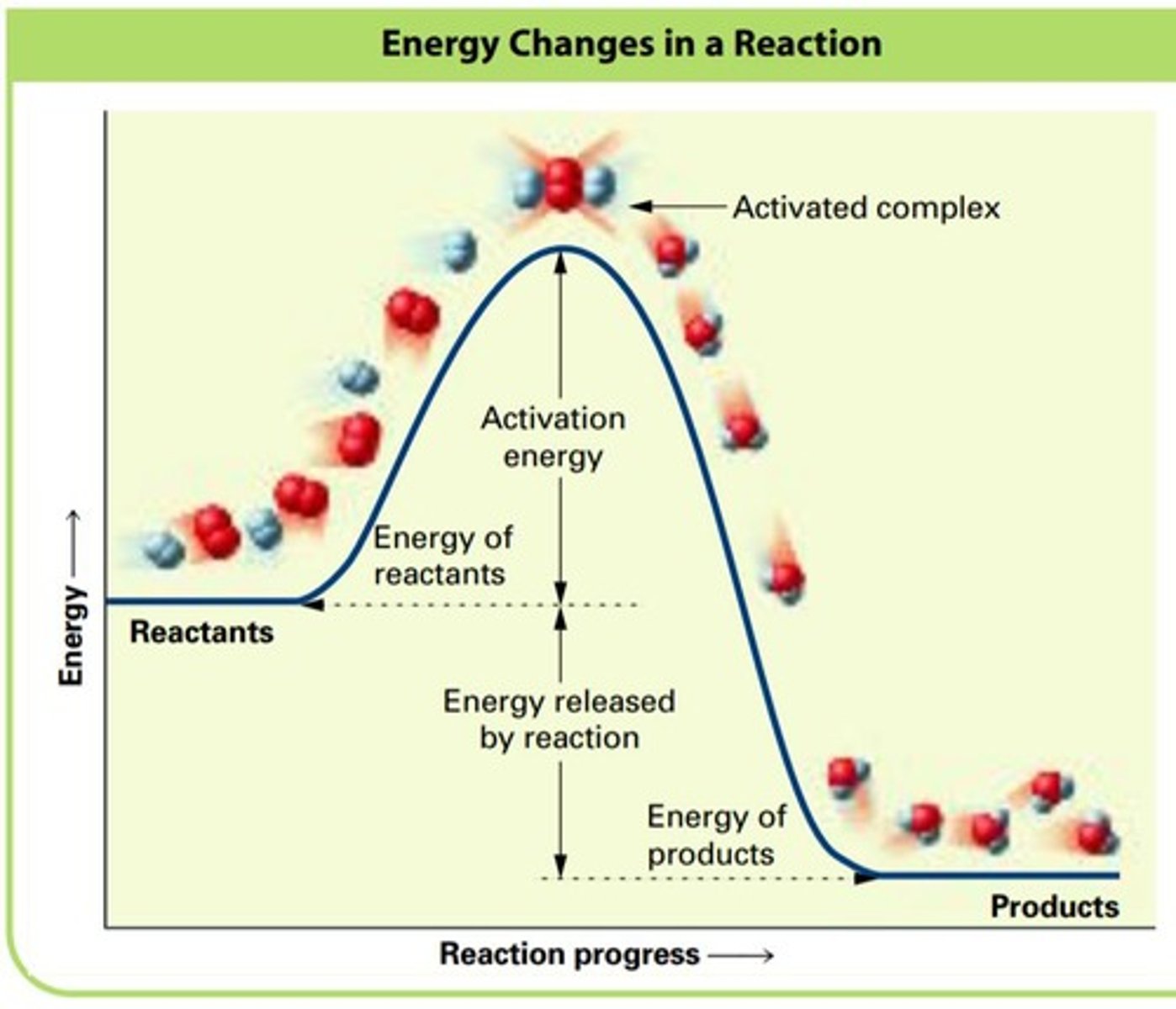 <p>An unstable short-lived species that is a hybrid of reactants and products at the transition state.</p>