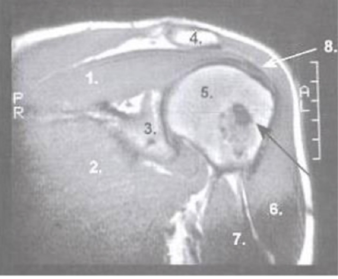 <p>What is number 5?</p>