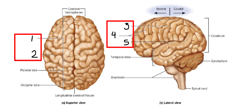 <p>2 and 3</p>