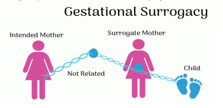 <p>Gestational pregnancy</p>