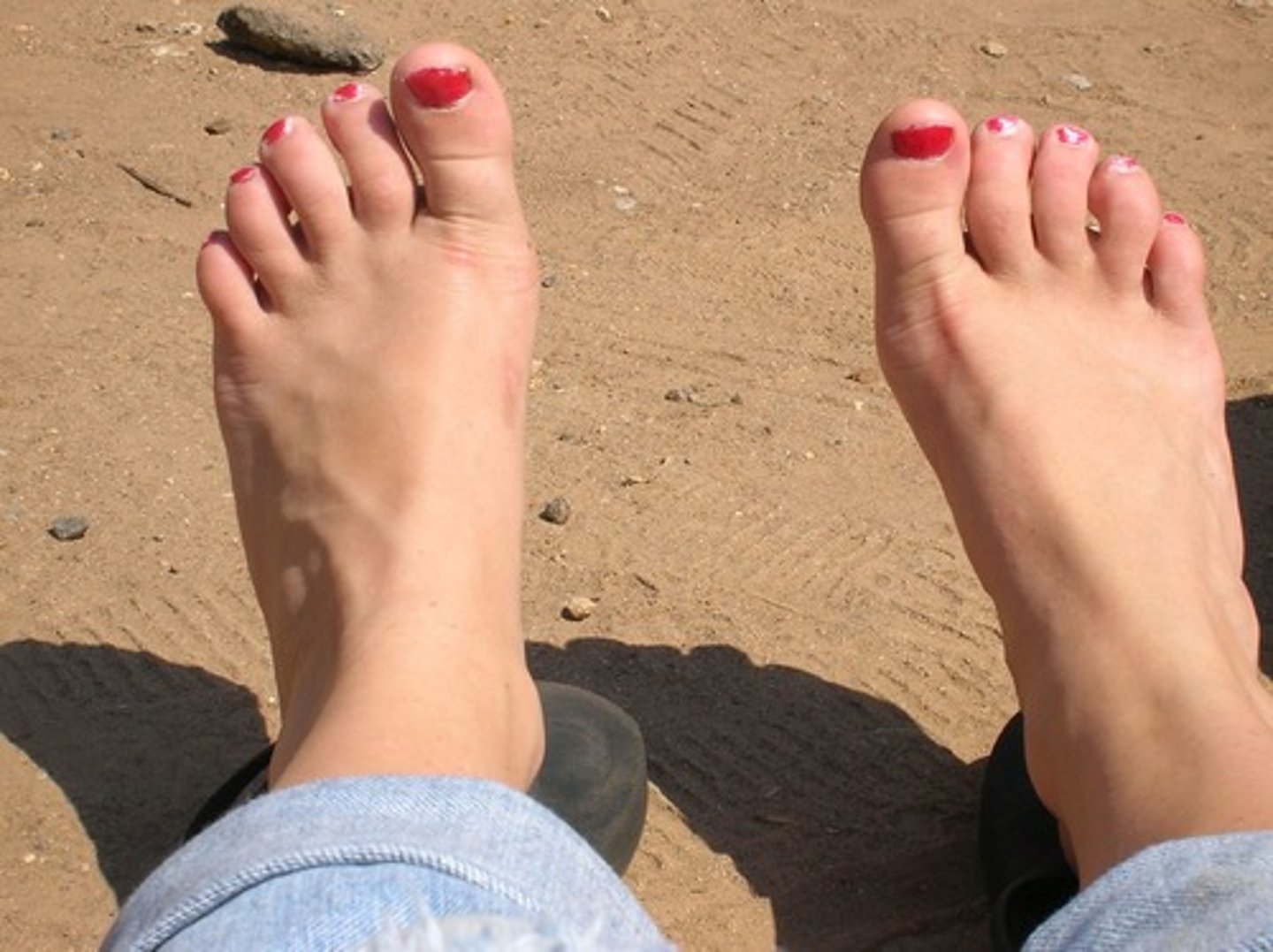 <p>Foot</p>