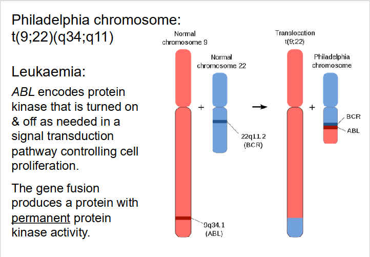 <p>DIAGRAM ON SLIDE 25</p>