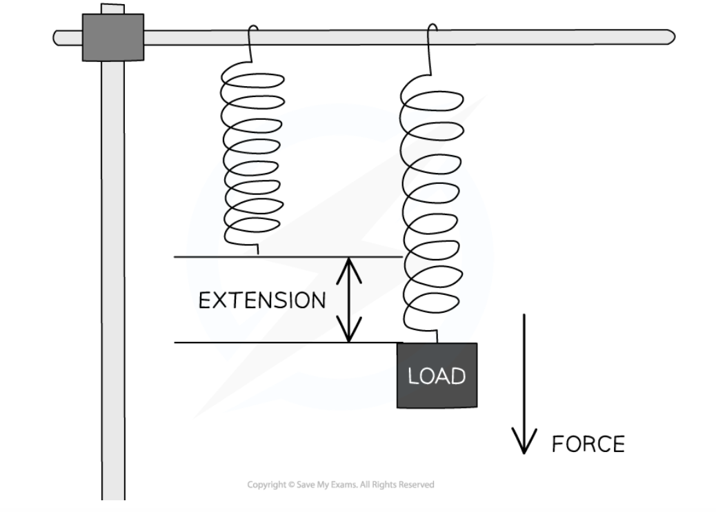 <p><span>When the spring is released, energy is transferred away from its elastic potential store</span></p>