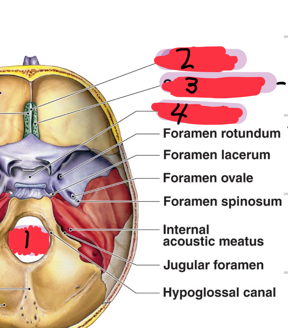 <p>Name the following </p>