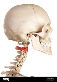 <p>C2 - Below Atlas</p>