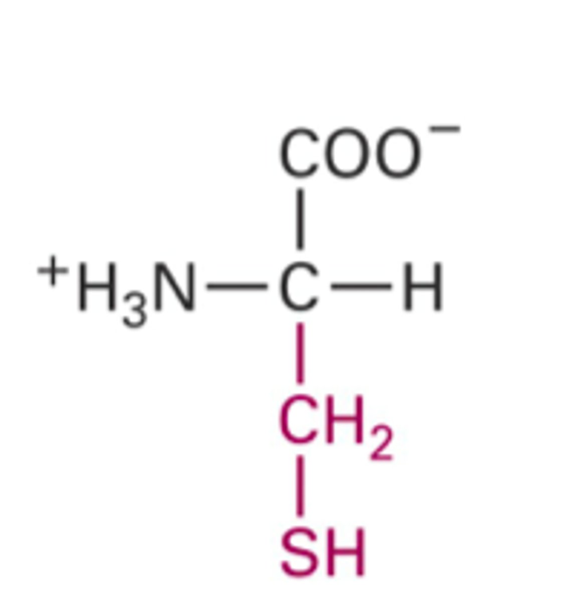 <p>What Structure is this?</p>