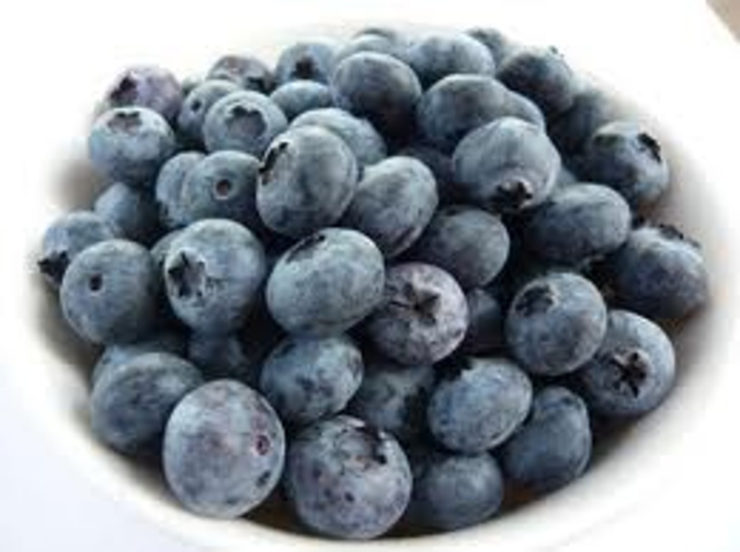 <p>blueberries</p>