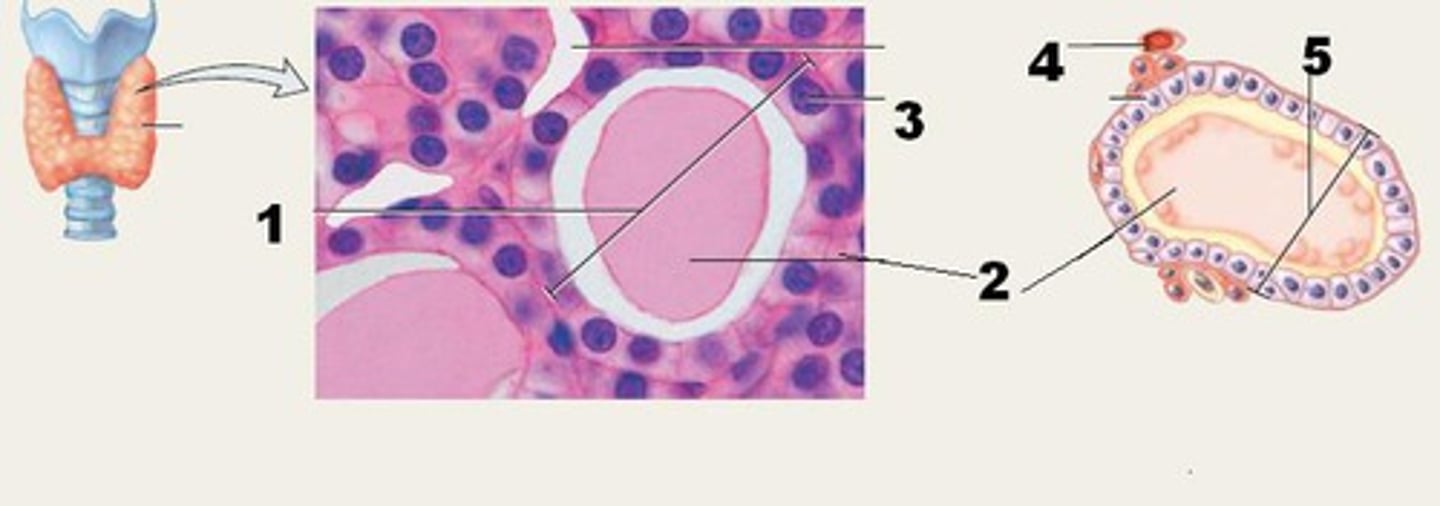 <p>3</p>