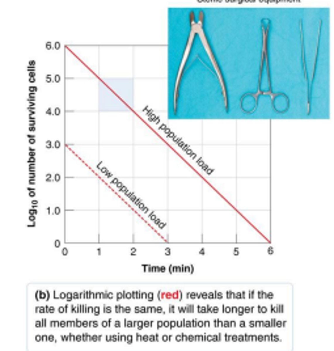 <p>The larger the population, the longer it will take to kill.</p>