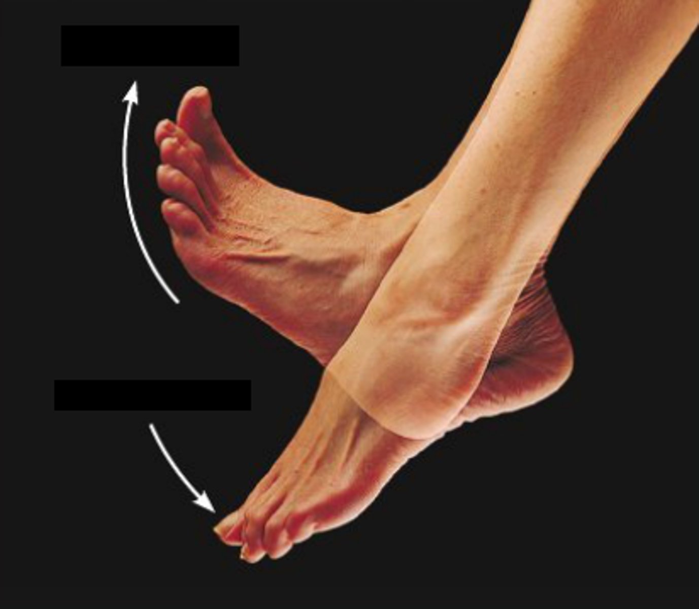 <p>what movements are these</p>