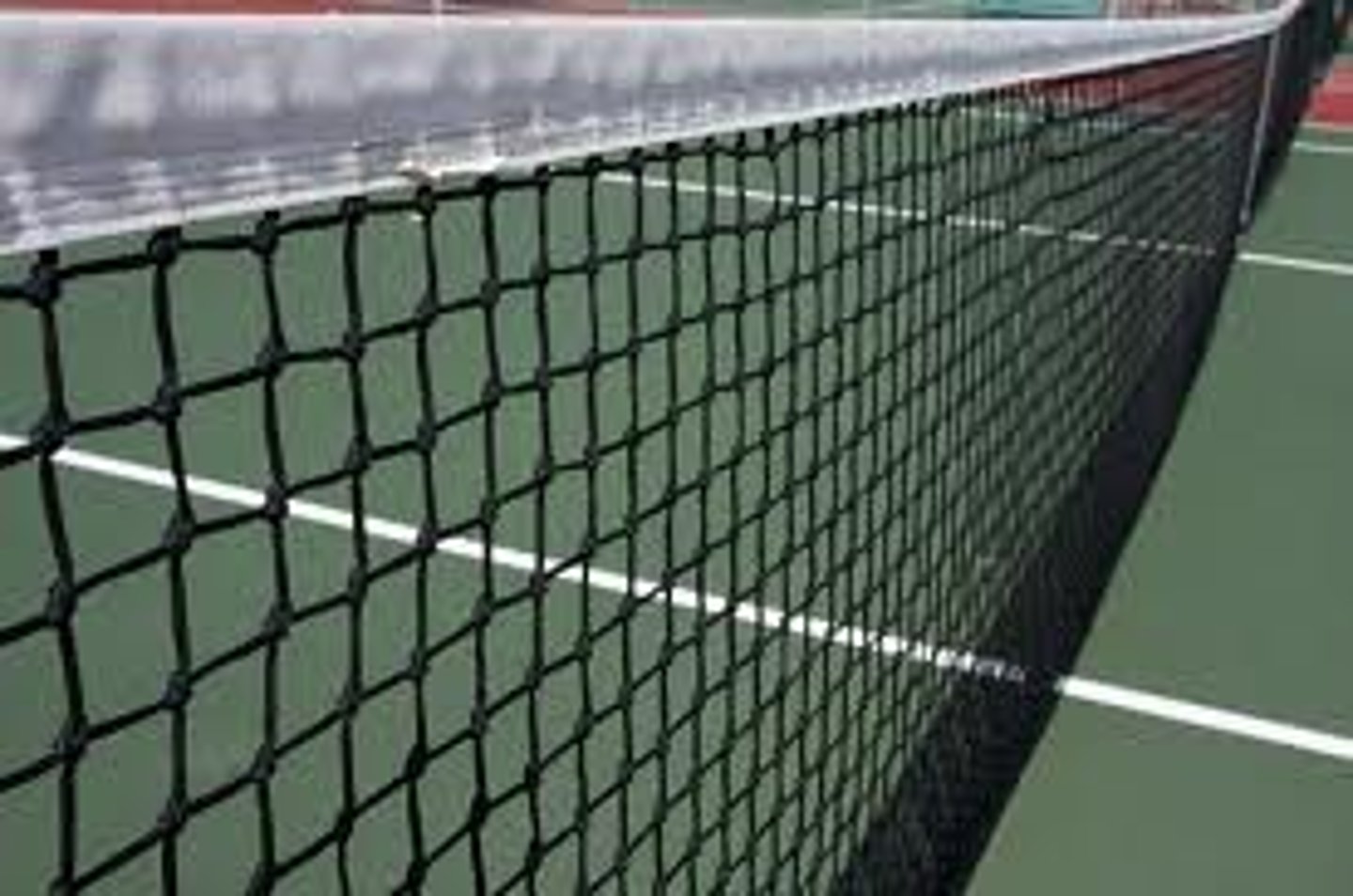 <p>(tennis) net</p>
