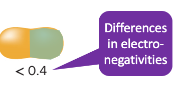 <p>Nonpolar covalent bond</p>