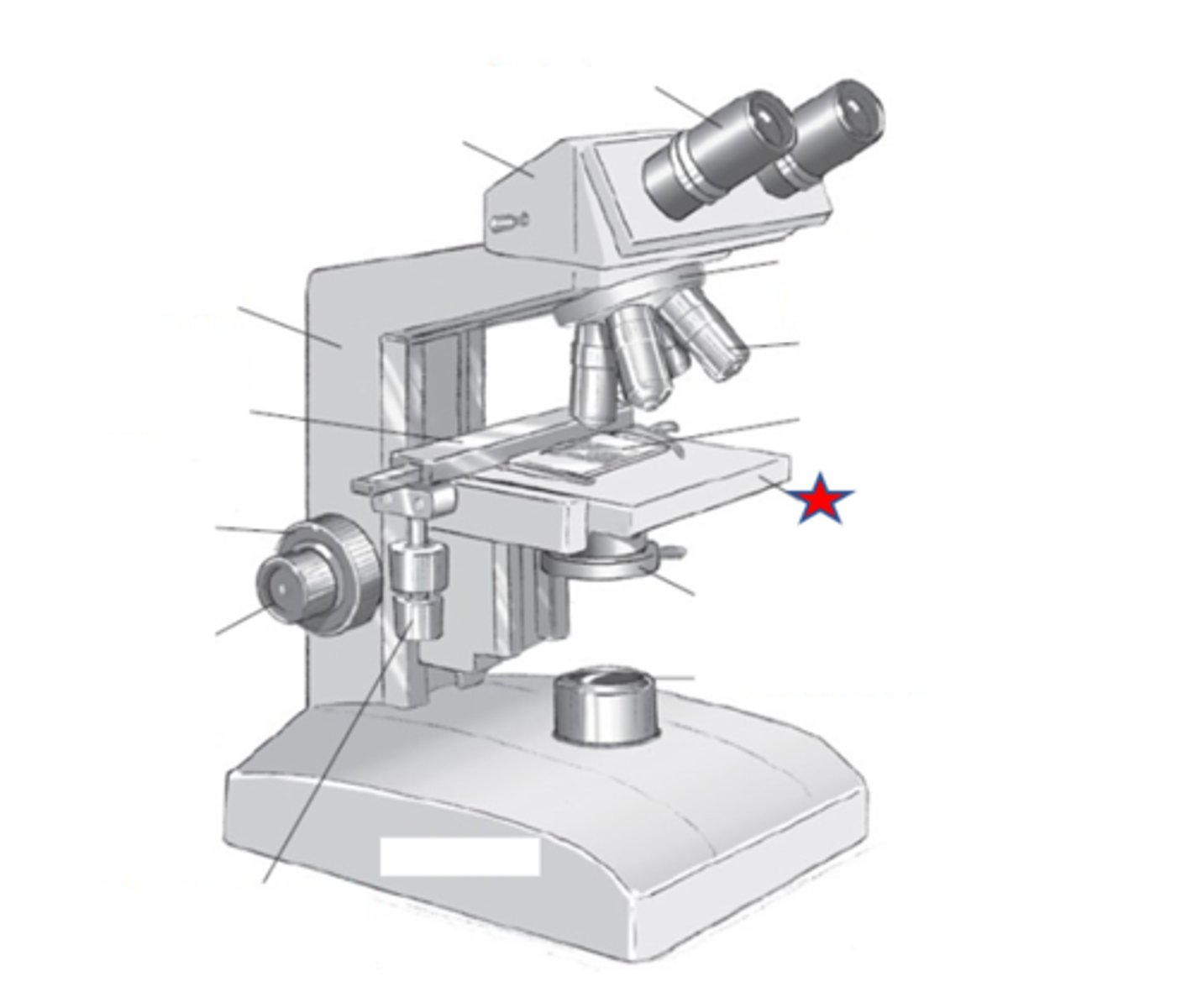 <p>Name the starred region in the image.</p>
