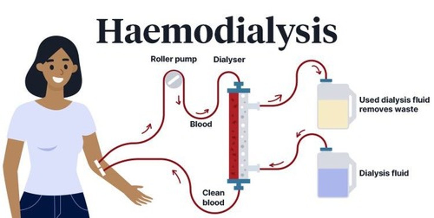 <p>A treatment that uses an artificial kidney apparatus to filter blood through a membrane.</p>