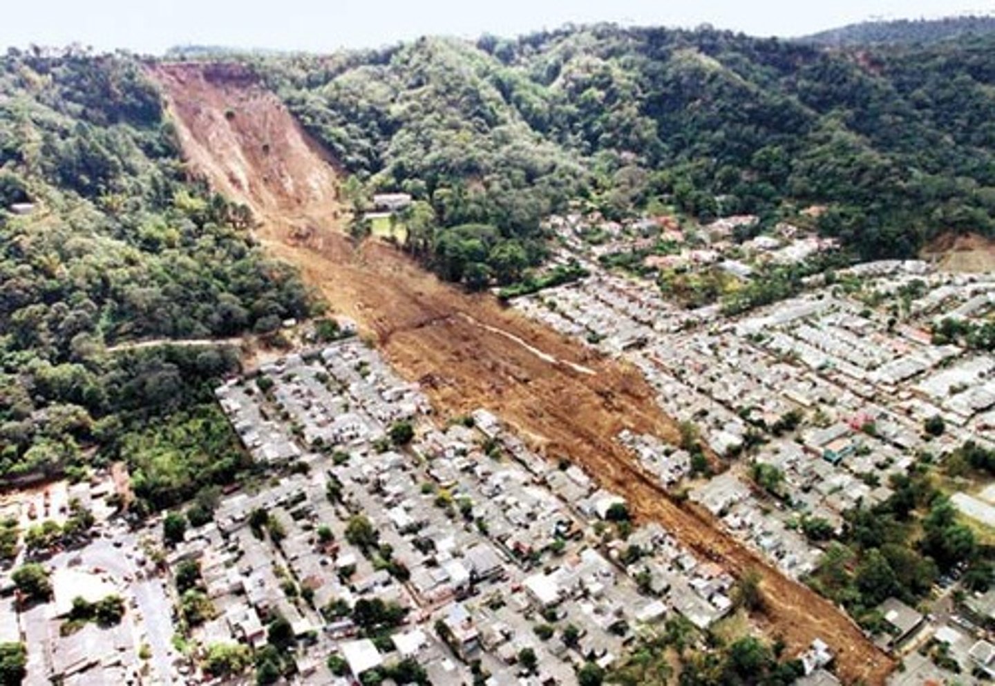 <p>the landslide</p>