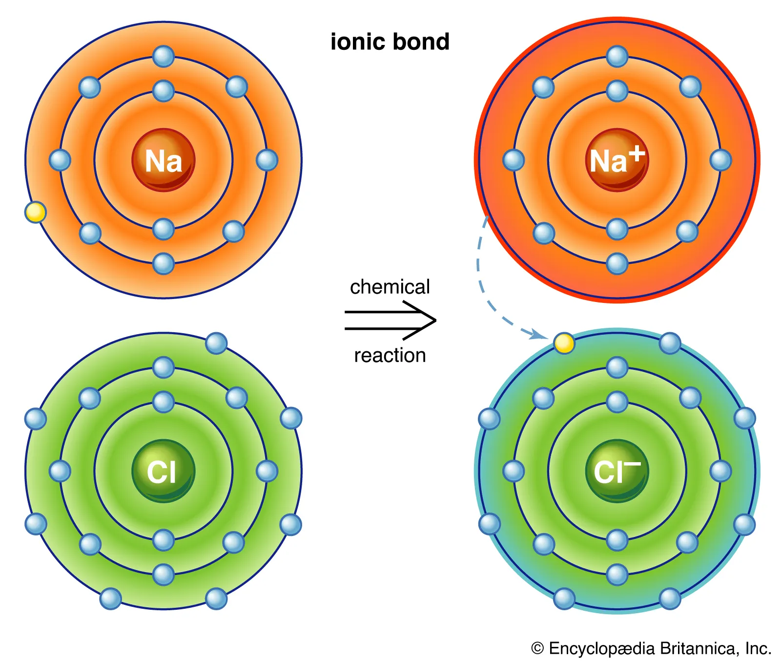 <p>metal to non metal, transfer of electrons to another atom</p>