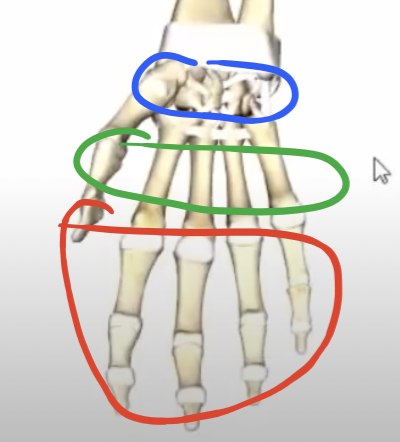 <p>8</p>