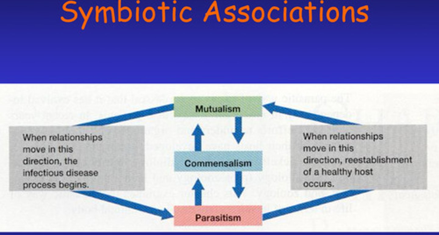 <p>a close, long-term relationship between two or more different species of organisms</p><p>3 Types:</p><p>Commensalism - relationship in which one symbiant called the commensal benefits while the host is neither harmed nor helped - Due to the spacial proximity of the two, the commensal obtains nutrients ingested or captured by the host and the host may also provide shelter to the commensal which can live either on or in the host. </p><p>-Commensal can survive without the host</p><p>Mutualism:</p><p>-Some reciprocal benefit occurs to both partners - the mutualist and the host are metabolically dependent on each other e.g. lichens on trees</p><p>Parasitism:</p><p>-If a symbiont either harms or lives at the expense of another organism</p><p>-Linked to infectious diseases </p><p>Note:</p><p>These aren't static - the type an organism can change depending on the conditions etc. Commensals becoming parasites, and when parasites invade the body - infection (disease when it starts causing symptoms)</p><p>-Persistence in a body sight without causing disease is called colonisation (not infection)</p><p>-INFECTION DOES NOT ALWAYS LEAD TO DISEASE, if host defence mechanisms are adequate a disease causing organism can cause infection with no symptoms (Asymptomatic carriage)</p><p>-One persons colonisation is someone elses infection </p>