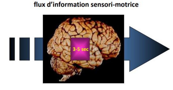 <p>Ce n’est pas une mémoir typique, elle est évanescente </p><p>La mémoire de travail permet la conservation de courte durée (quelques secondes) d’une certaine quantité d’information (sous forme verbale ou visuelle) directement utilisable par les processus cognitifs en cours. On garde l’information à disposition pendant une période brève</p><p>Exemple : retenir un numéro de téléphone le temps de composer ou ne pas perdre le fil d’une conversation.</p>