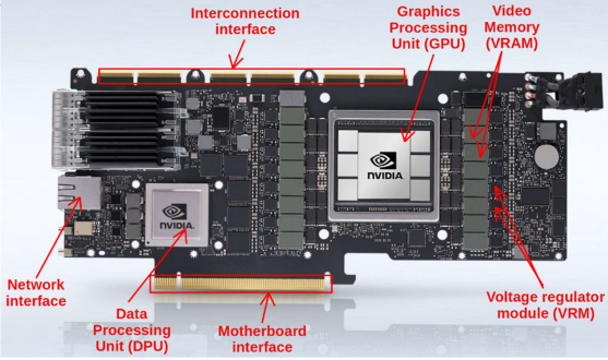 <p>Nvidia GeForce</p><ul><li><p><span>Common in gaming and rendering</span></p></li><li><p><span>Technologies: RTX (Ray tracing), DLSS (AI upscaling)</span></p></li></ul><p>AMD Radeon</p><ul><li><p><span>Good performance for budget</span></p></li><li><p><span>Supports OpenCL and DirectX</span></p></li></ul><p></p>