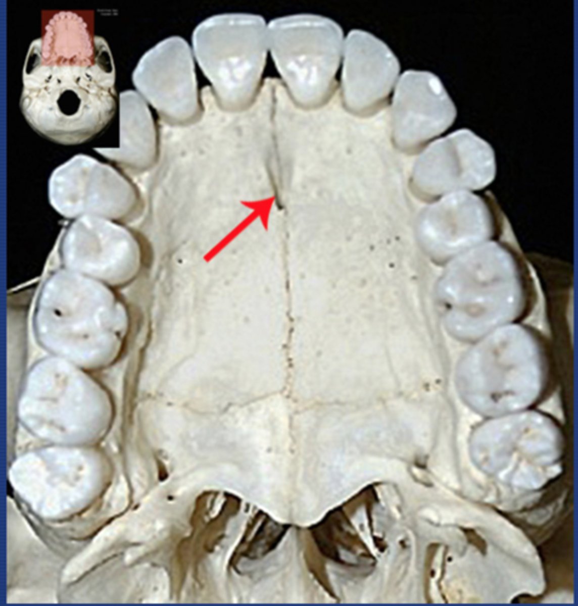 <p><em>identify the structure:</em></p>