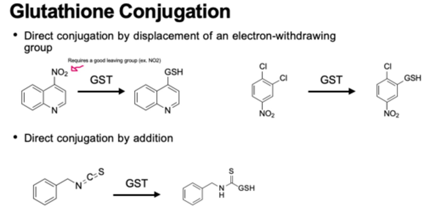 <p>glutathione (nucleophile) added to electrophilic groups</p><p>1) good leaving group</p><p>2) e- withdrawing group</p>