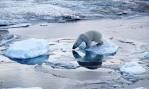 climate change