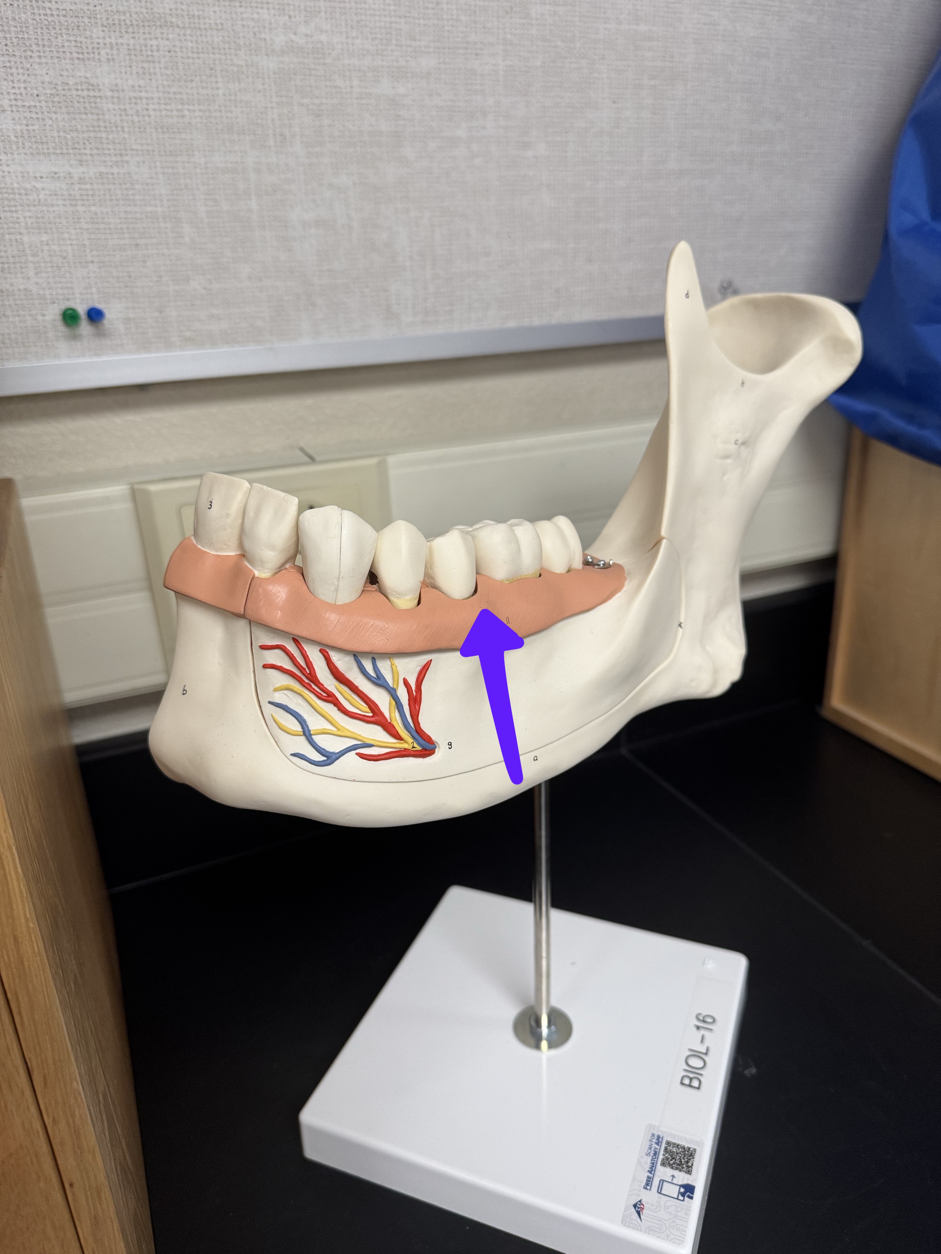 <p>What is this? </p>