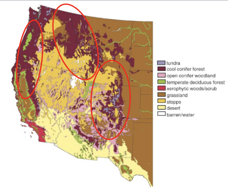 <p>vegetation biomes of the western US</p>