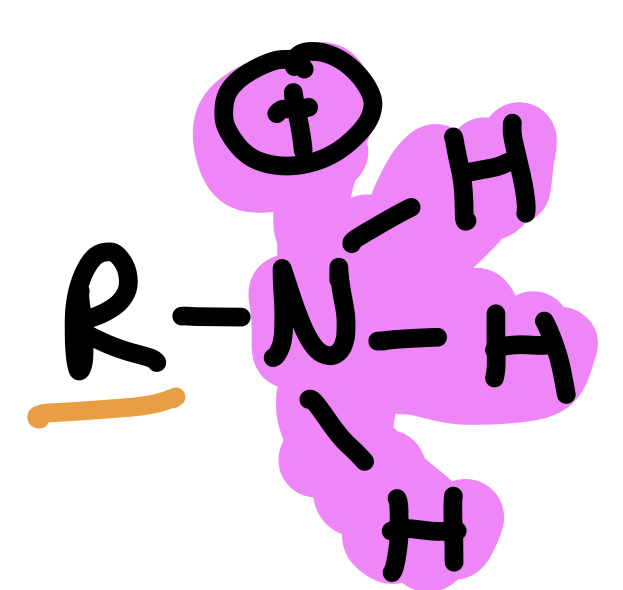 Type of Compound + Functional Group