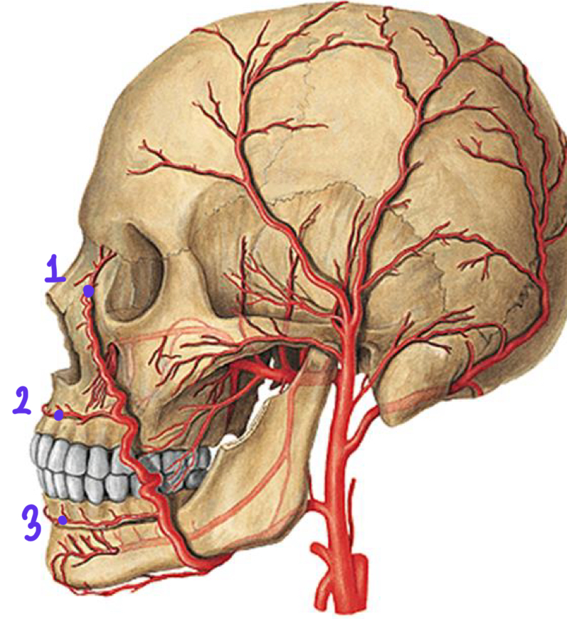 <p>2</p>
