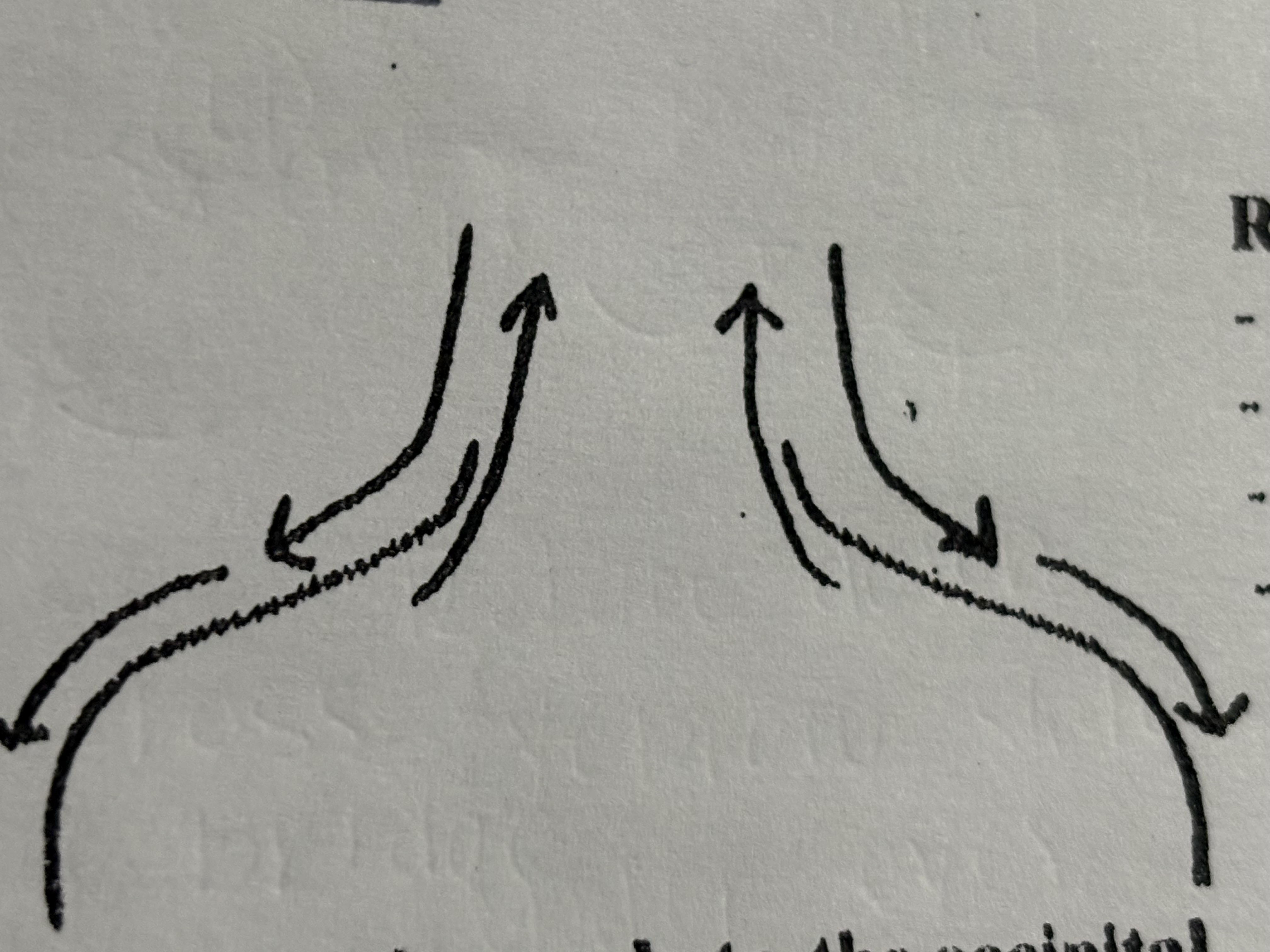 <p>14th step</p>