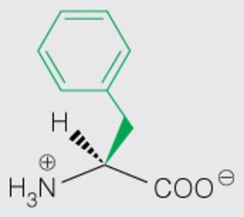 <p>Full</p>