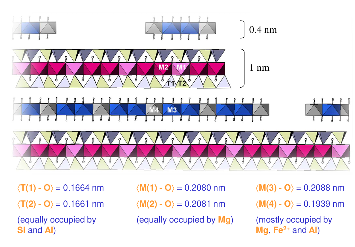 <p>struttura T.O.T+O ovvero Tetraedro, Ottaedro, Tetraedro +Ottaedro<br>Reagisce con il DNA (-) formando strisce tra bande (+), e con l’RNA formando agglomerati<br></p><p><span>(Mg,Fe)</span><sub>3</sub><span>(Si,Al)</span><sub>4</sub><span>O</span><sub>10</sub><span>(OH)</span><sub>2</sub><span>•(Mg,Fe)</span><sub>3</sub><span>(OH)</span><sub>6</sub></p>