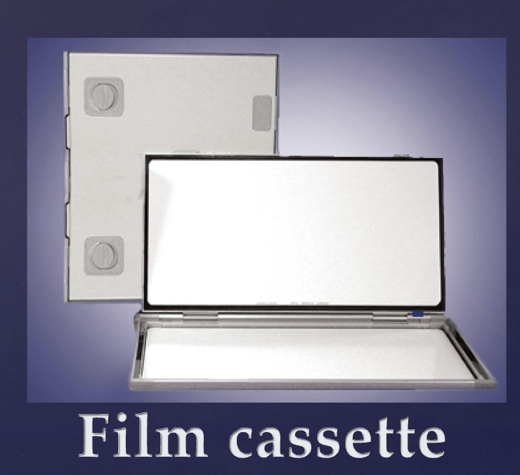 <ul><li><p>screen film + intensifying screen</p></li><li><p>digital receptor (direct, PSP)</p></li></ul><p></p>