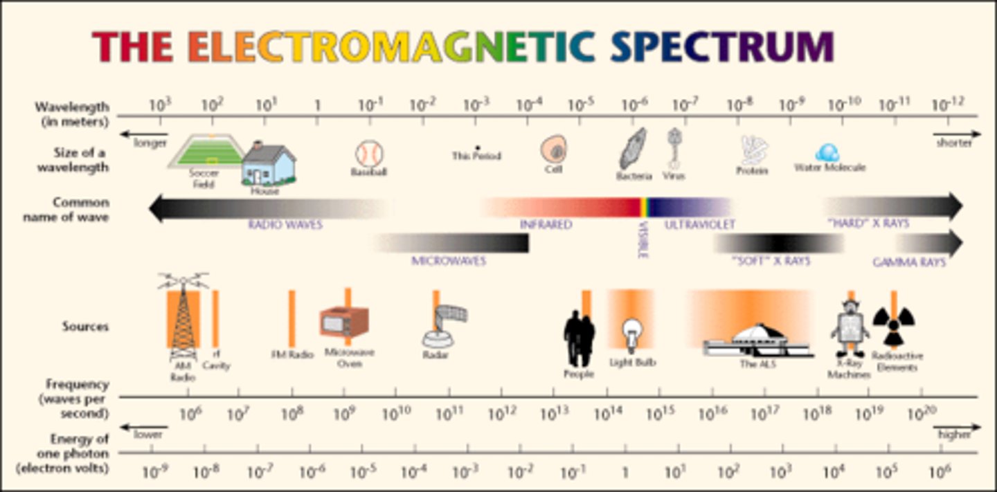<p>radio, microwave, infrared, visible, ultraviolet, x-ray, gamma</p>