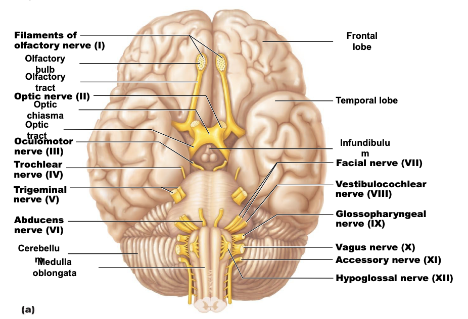 <p><strong>Look at BOLDED names</strong></p>
