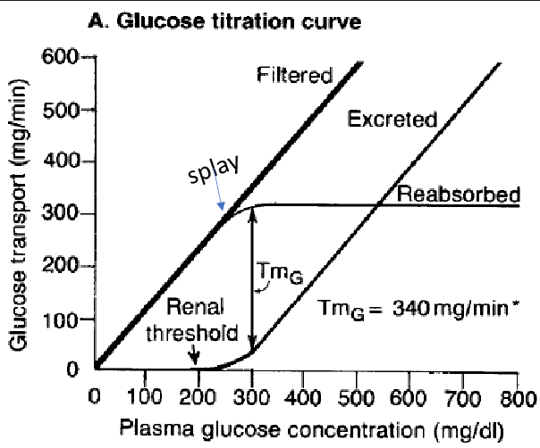 <p>what does the titration curve of glucose show?</p>