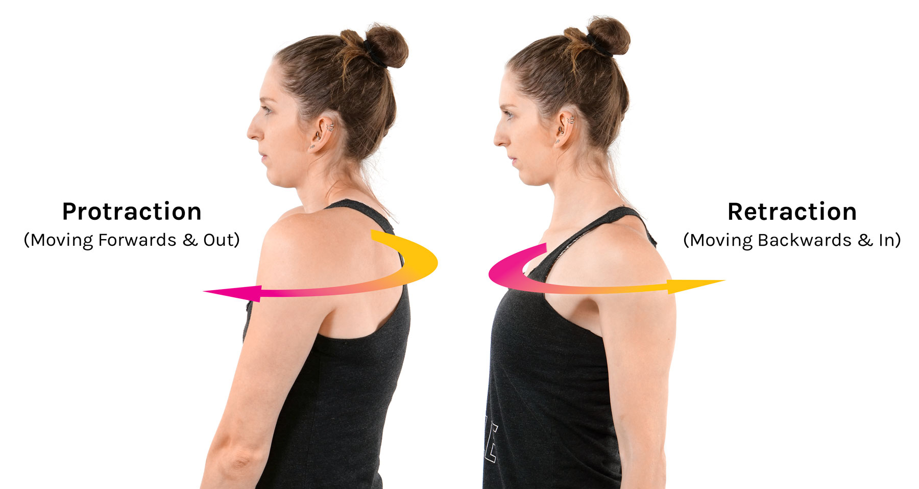 <ul><li><p>Protraction: moving forward and out (away from your spine) </p></li><li><p>Retraction: moving backward and in (towards your spine) </p></li></ul><p></p>