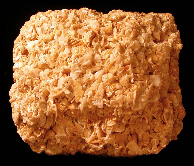 <p>Coquina</p>