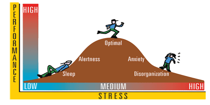 <p>Arousal Theory</p>