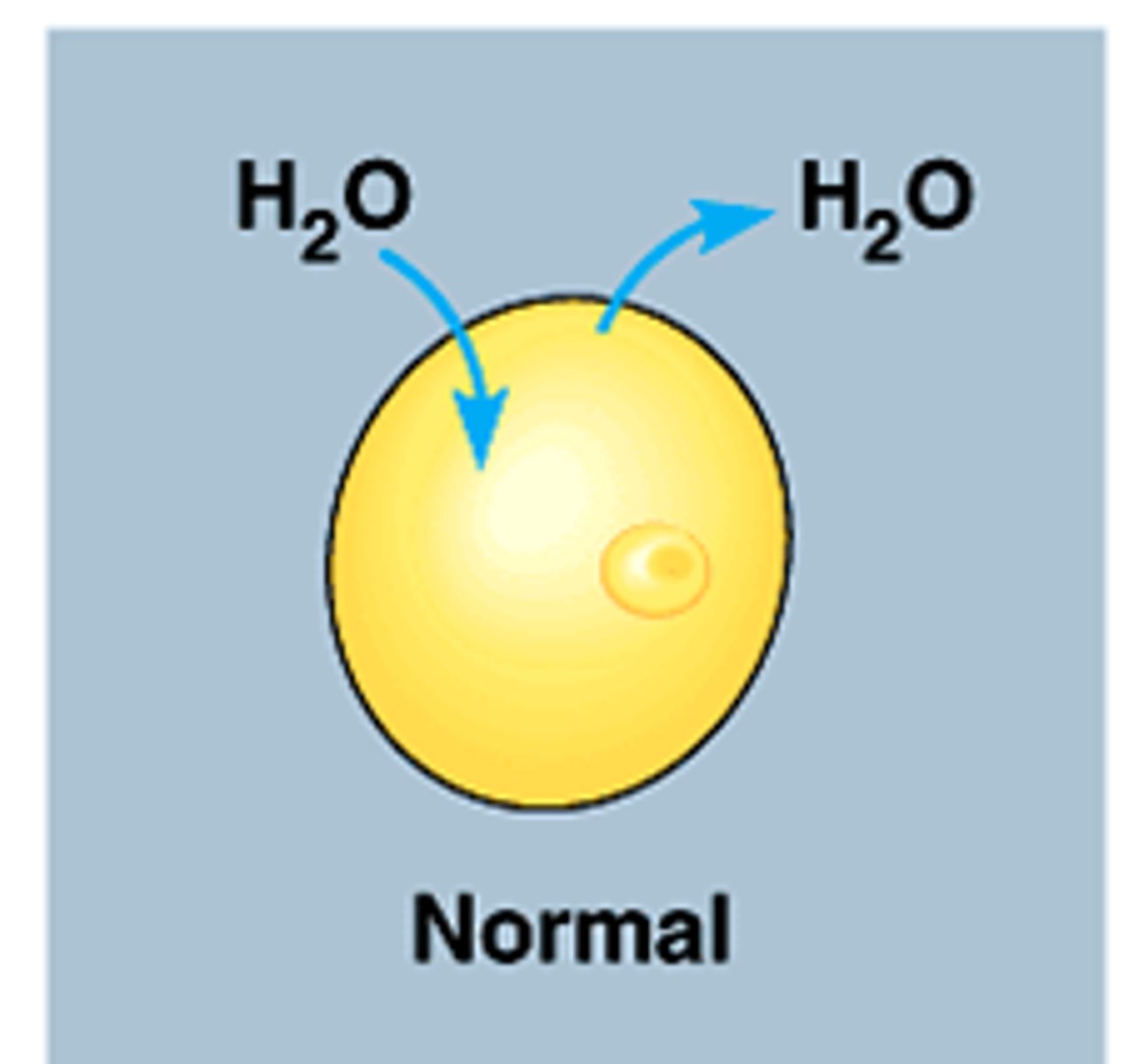 <p>Solution that has an equal concentration of solutes as another solution.</p>