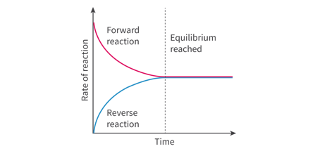 <ol><li><p>Reactants are sealed together in a sealed reaction vessel (a closed system). </p></li><li><p>They react together to form the product, therefore the concentration of products increases, and the concentration of reactants decreases.</p></li><li><p>Once the concentration of the products starts to decrease, the reverse reaction starts taking place</p></li><li><p>Eventually the rate of the forward reaction becomes equal to the rate of the backward reaction.</p></li><li><p>System reaches equilibrium.</p></li></ol><p>Equilibrium is referred to as dynamic because both thee forward and the reverse reactions are still taking place.</p><p></p>