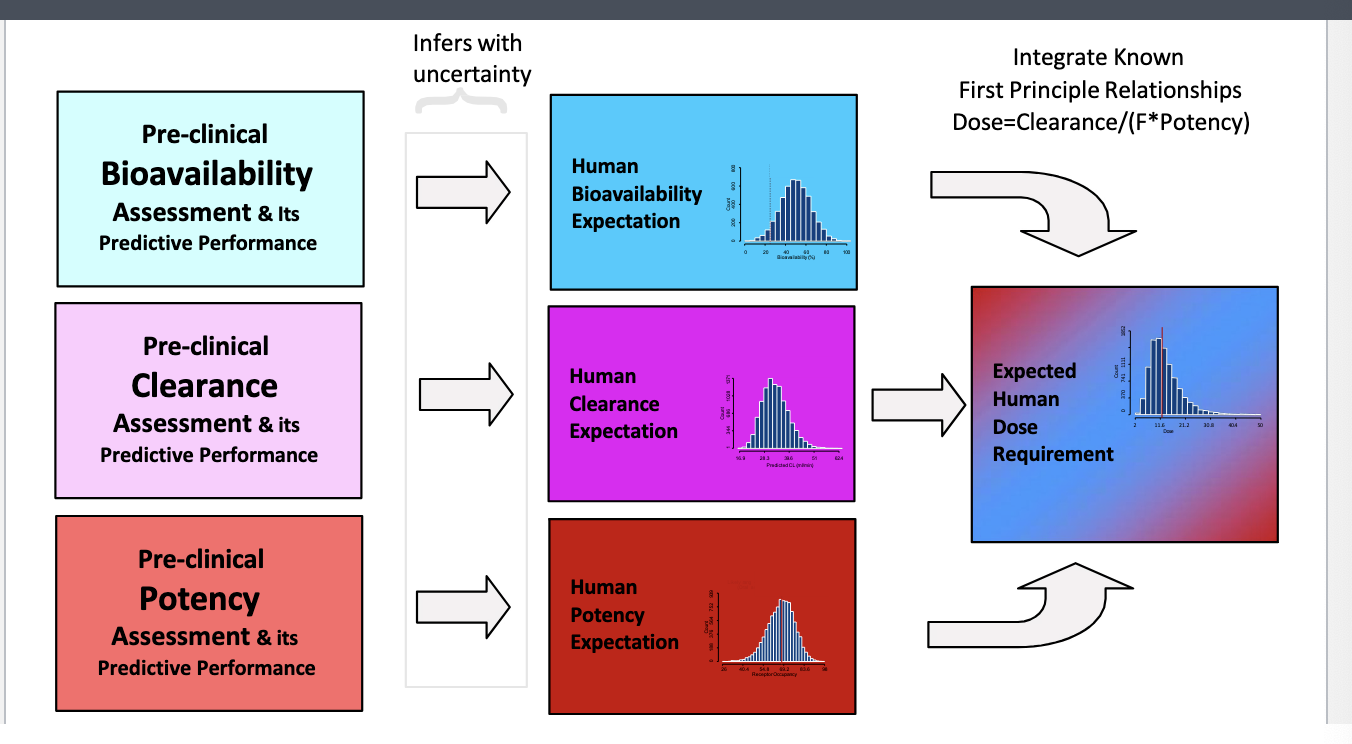 <p><strong>bioavailability, CL, potency</strong></p><ul><li><p>preclinical estimates of the 3 attributes is translated into human expectations with <strong>uncertainty</strong> </p></li><li><p>integrate all the human expectations into expected human dose requirement</p><ul><li><p>integrate known 1st principle relationships: </p><ul><li><p><strong>dose = CL/F*potency</strong></p></li></ul></li></ul></li></ul><p></p>