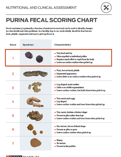 <p>1. large bowel diarrhea</p><p>2. constipation/obstipation</p>