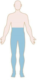 <p>Patterns of Weakness: Identify</p>