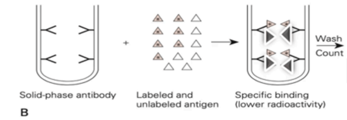 <p>In this case in competitive radioimmunoassay, as the amount of analyte increases, more binding sites are occupied by unlabeled antigen and fewer binding sites will be occupied by the radiolabeled antigen, thus radioactivity of the solid phase is (increased/decreased) in proportion to the amount of analyte or patient antigen bound</p>