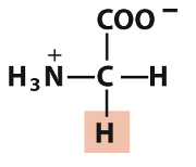 <p>Nonpolar, aliphatic</p>