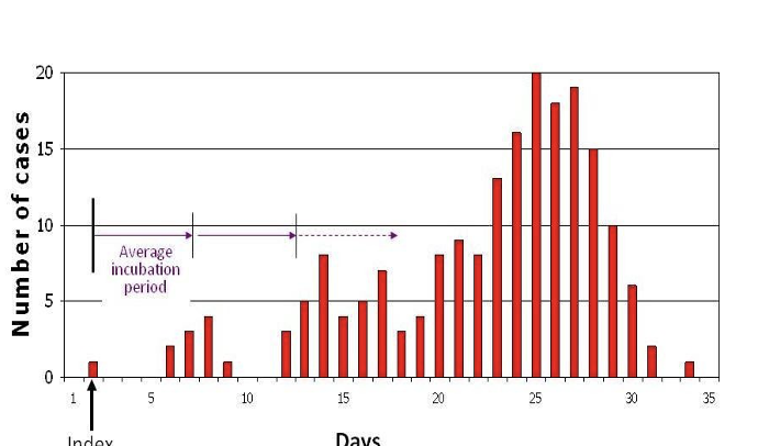 <p>What type of infection does this curve represent ?</p>