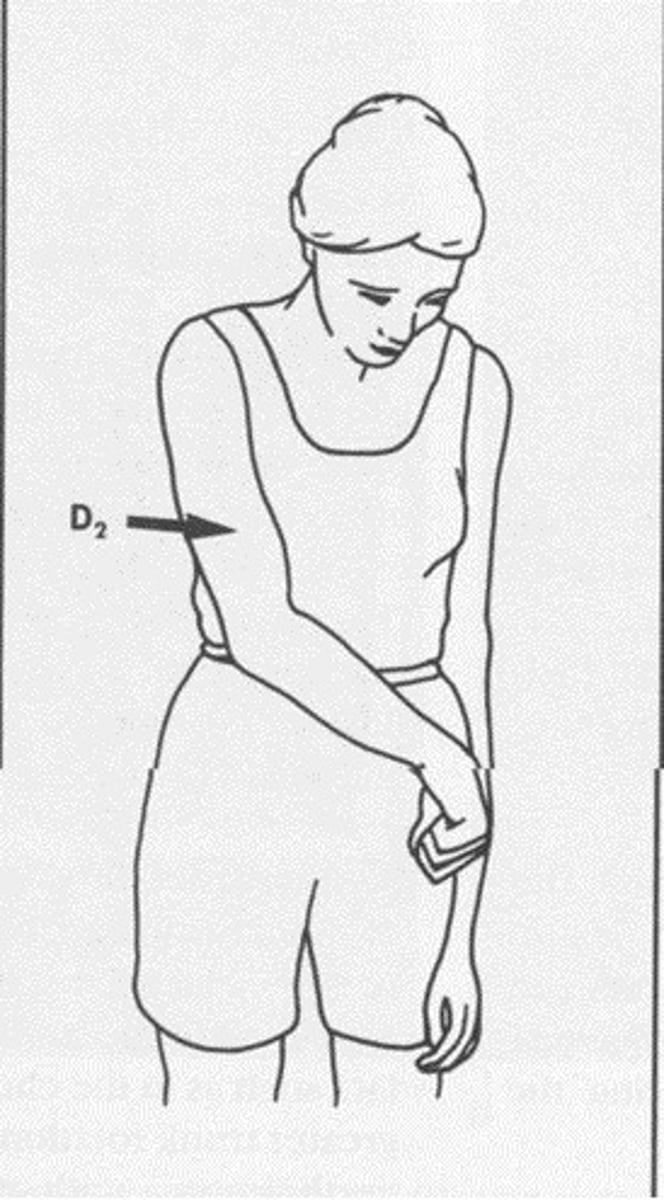 <p>ext/add/IR</p><p>scapula: anterior depression</p>